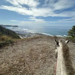 Samara Horseback Riding Tours - Samara