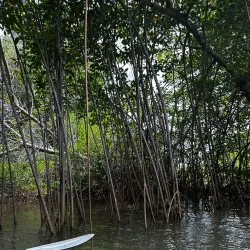 Snorkeling and Diving Tours - Samara