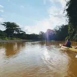 Snorkeling and Diving Tours - Samara