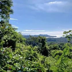 Werner Sauter Biological Reserve - Samara