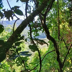 Werner Sauter Biological Reserve - Samara