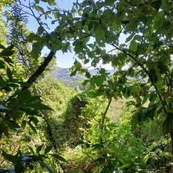 Werner Sauter Biological Reserve - Samara