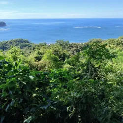 Werner Sauter Biological Reserve - Samara