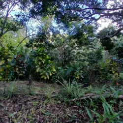 Werner Sauter Biological Reserve - Samara