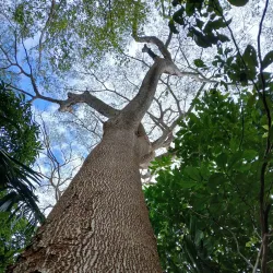 Werner Sauter Biological Reserve - Samara