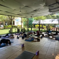 Yoga and Wellness Centers - Samara