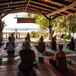 Yoga and Wellness Centers - Samara