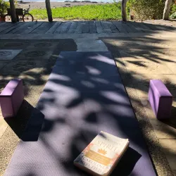 Yoga and Wellness Centers - Samara