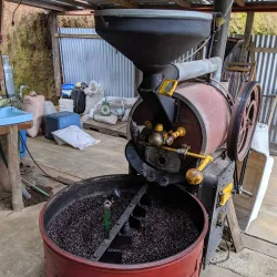 Coffee Plantations Tour - San Isidro