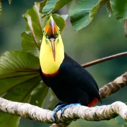 El Tapir Waterfall - San Isidro