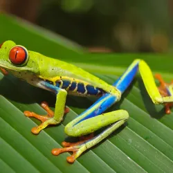 El Tapir Waterfall - San Isidro