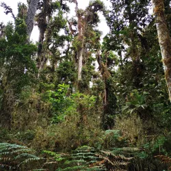 La Amistad International Park - San Isidro