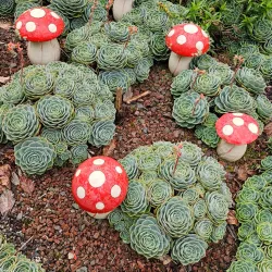 Los Quetzales National Park - San Isidro