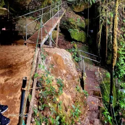 Los Quetzales National Park - San Isidro
