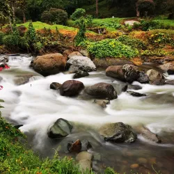 Los Quetzales National Park - San Isidro