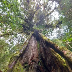 Los Quetzales National Park - San Isidro