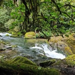 Los Quetzales National Park - San Isidro