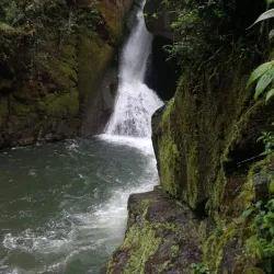 Rio Savegre - San Isidro