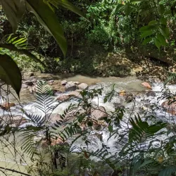 Spirogyra Butterfly Garden - San Jose