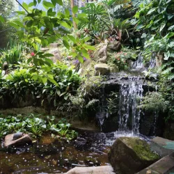 Spirogyra Butterfly Garden - San Jose