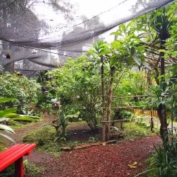 Spirogyra Butterfly Garden - San Jose