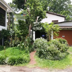Spirogyra Butterfly Garden - San Jose