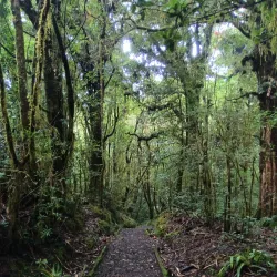 Barva Volcano National Park - San Luis