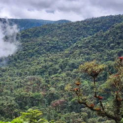 Barva Volcano National Park - San Luis