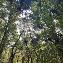 Barva Volcano National Park - San Luis