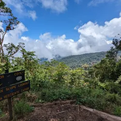 Braulio Carrillo National Park - San Luis