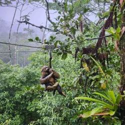 Hiking Trails Around San Luis - San Luis