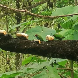 Hiking Trails Around San Luis - San Luis