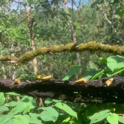 Hiking Trails Around San Luis - San Luis