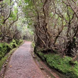 Poás Volcano National Park - San Luis