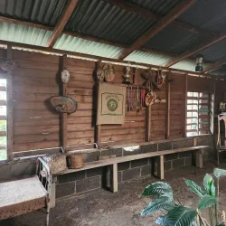 San Luis Coffee Plantations - San Luis