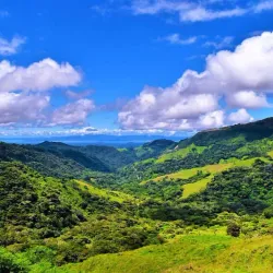 San Luis Coffee Plantations - San Luis
