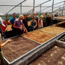 San Luis Coffee Plantations - San Luis