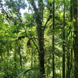 Arenal Natura Ecological Park - San Rafael