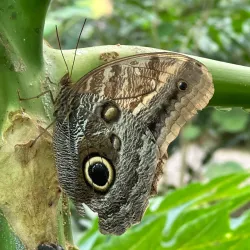 Arenal Natura Ecological Park - San Rafael
