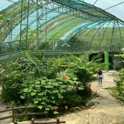 Arenal Natura Ecological Park - San Rafael