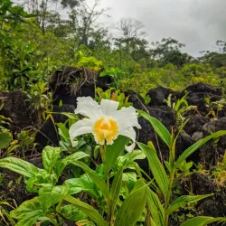 Arenal Volcano National Park - San Rafael