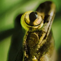 Ecocentro Danaus - San Rafael
