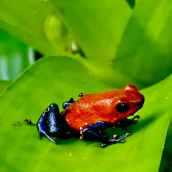 Ecocentro Danaus - San Rafael