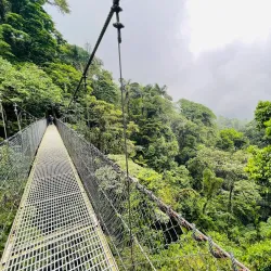 Mistico Arenal Hanging Bridges Park - San Rafael