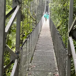 Mistico Arenal Hanging Bridges Park - San Rafael