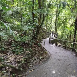 Arenal Volcano National Park - San Ramon