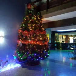 Cultural Center of San Ramon - San Ramon