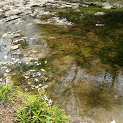El Chorro Waterfall - San Ramon