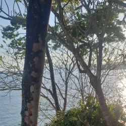 El Chorro Waterfall - San Ramon