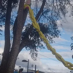 San Ramon Central Park - San Ramon